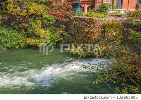 京都琵琶湖運河的秋景 京都琵琶湖運河的秋景 132963906