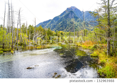 上高地唐澤沼澤 上高地唐澤沼澤 132963988