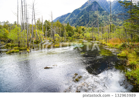 上高地唐澤沼澤 132963989