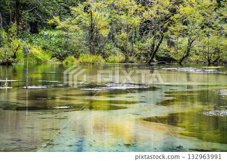 Kamikochi Karasawa Marsh 132963991