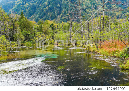 Kamikochi Karasawa Marsh 132964001