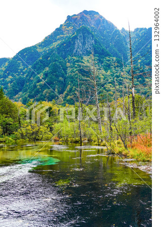 Kamikochi Karasawa Marsh 132964002