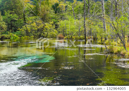 Kamikochi Karasawa Marsh 132964005