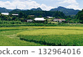 夏季景色，稻田、山脈和村莊 132964016