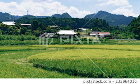 夏季景色,稻田、山脈和村莊 夏季景色,稻田、山脈和村莊 132964016