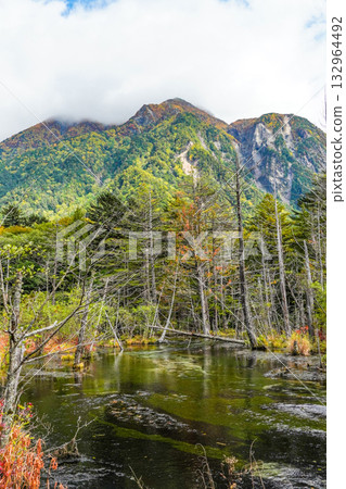 上高地唐澤沼澤 132964492