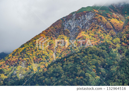 穗高山脈，秋葉已開始飄落。 132964516