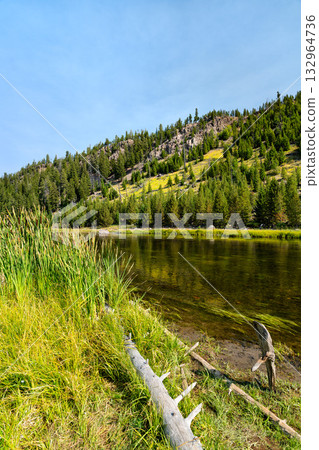 The calm Madison River in Yellowstone National Park. Tall green grass and a log line the bank, with a forested hill under a clear blue sky. Represents nature, wilderness, and fly fishing The calm Madison River in Yellowstone National Park. Tall green grass and a log line the bank, with a forested hill under a clear blue sky. Represents nature, wilderness, and fly fishing 132964736