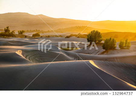 The St. Anthony Sand Dunes in Idaho are lit by a vibrant golden sunset. The warm light creates deep shadows and highlights the ripples in the sand. Represents a vast, peaceful desert landscape 132964737