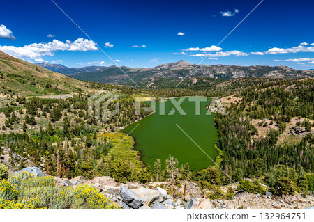 High-angle scenic view of the green waters of Red Lake from the Carson Pass area in California. Pine forests and mountains surround the lake under a deep blue sky with white clouds 132964751