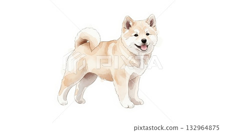 北海道小狗快樂地玩耍，柔和的水彩筆觸 132964875
