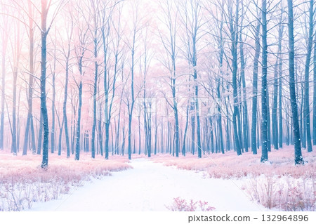 Pink-toned snow scene Romantic winter forest 132964896