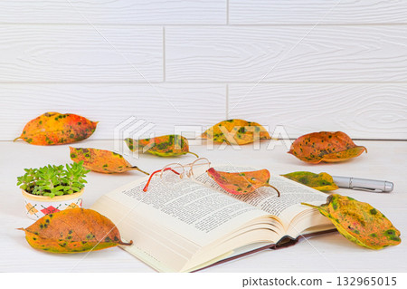 落葉框架 落葉框架 132965015