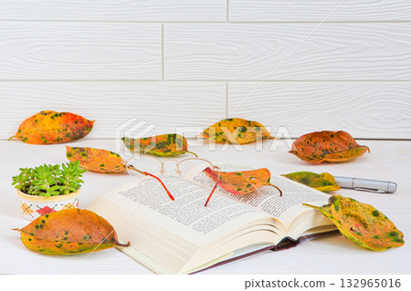 落葉框架 落葉框架 132965016