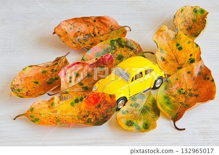 Fallen leaf frame 132965017