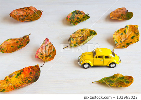 落葉框架 132965022