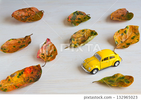 落葉框架 132965023