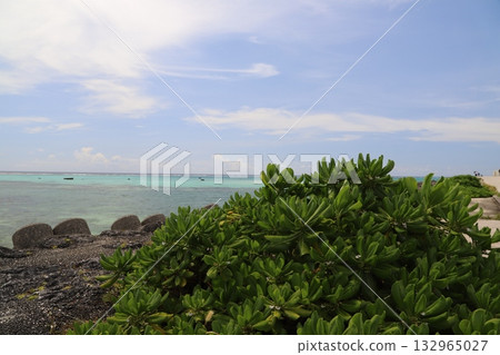 shimojishima, shimoji island, beach 132965027