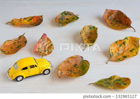 落葉框架 132965127