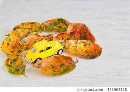 落葉框架 132965128