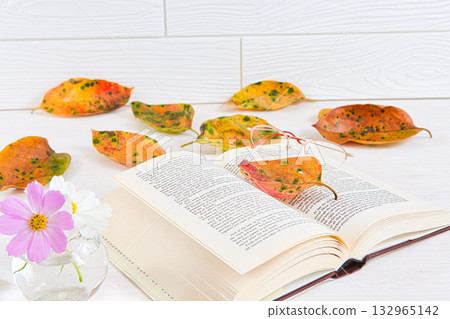 落葉框架 132965142