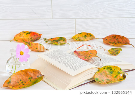 Fallen leaf frame Fallen leaf frame 132965144