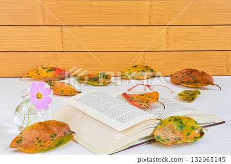 落葉框架 落葉框架 132965145