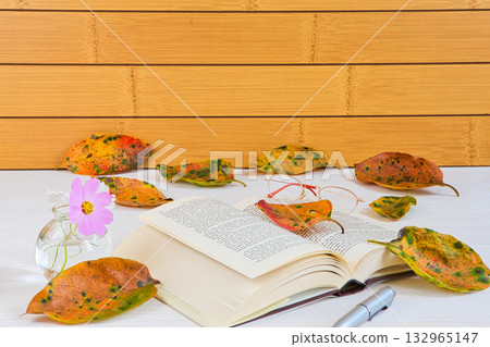 Fallen leaf frame 132965147