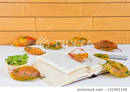 Fallen leaf frame 132965149