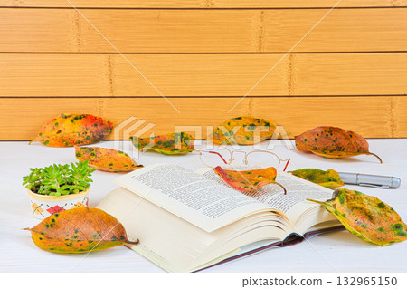 Fallen leaf frame Fallen leaf frame 132965150