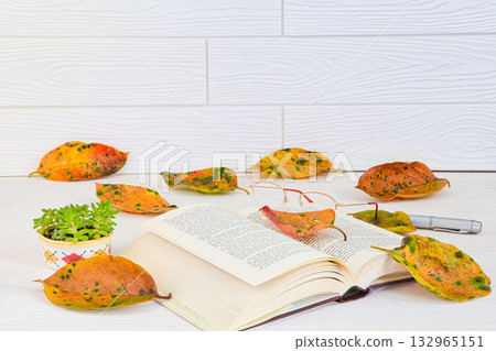 Fallen leaf frame 132965151