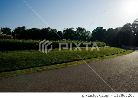 服部綠地公園的秋日清晨景色 服部綠地公園的秋日清晨景色 132965203