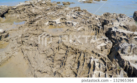 Extreme Close-up of Highly Eroded and Textured Coastal Rocks with Mud and Shallow Water at Low Tide 132965364