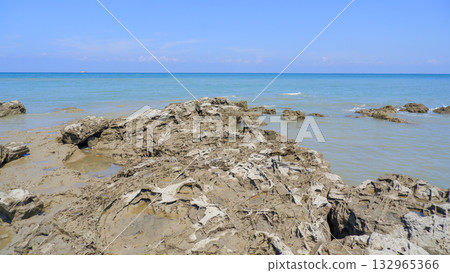 Vast Eroded Rocky Platform Exposed at Low Tide on a Tropical Coastline with Calm Ocean Water 132965366