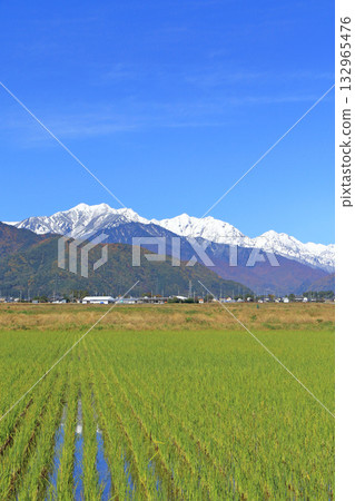 The Northern Alps Gotateyama mountain range in late autumn The Northern Alps Gotateyama mountain range in late autumn 132965476