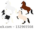 Set 2 of horses standing on their hind legs Set 2 of horses standing on their hind legs 132965508