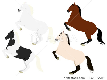 第二組馬匹後腿站立的姿勢 132965508