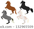 Set 1 of a horse standing on its hind legs Set 1 of a horse standing on its hind legs 132965509