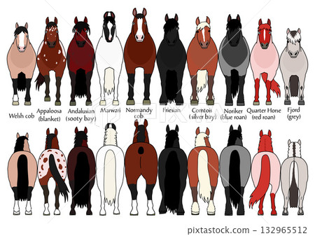 一套3匹卡通馬,正面和背面 一套3匹卡通馬,正面和背面 132965512