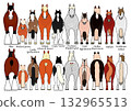 Set of 2 cartoon horses, front and back Set of 2 cartoon horses, front and back 132965513