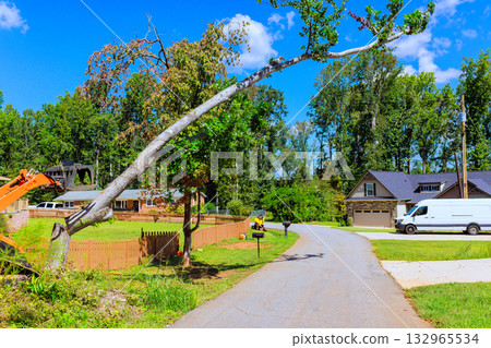 Workers are removing large, leaning tree in quiet neighborhood under works day 132965534
