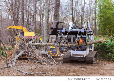 Operators use specialized equipment to remove fallen trees from forested site in winter conditions. Operators use specialized equipment to remove fallen trees from forested site in winter conditions. 132965554