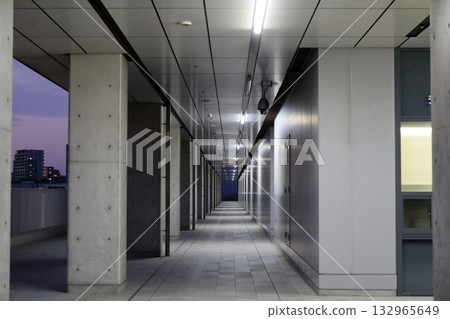 Consecutive exposed concrete pillars 132965649