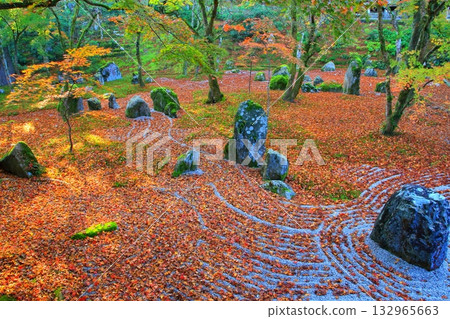 光明禪寺庭園的秋天（福岡縣太宰府市） 132965663
