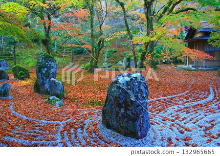 光明禪寺庭園的秋天（福岡縣太宰府市） 132965665