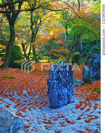 光明禪寺庭園的秋景（福岡縣太宰府市，豎幅構圖） 132965666