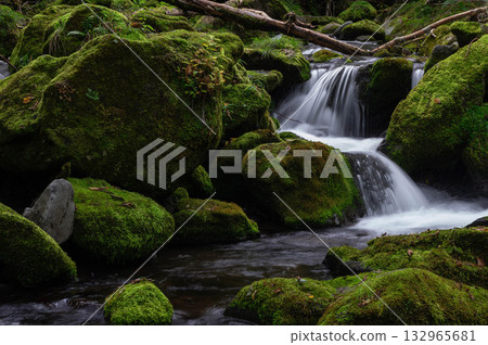 A small stream winding its way down through moss-covered rocks in the subalpine mountains 132965681