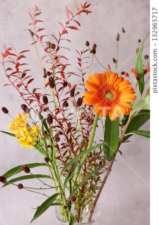 秋季非洲菊花束 132965717