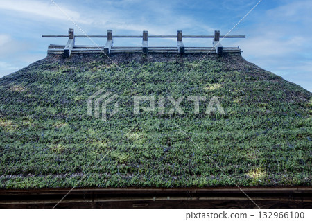 Thatched roof (Stage of Tamomine Kannon, Shitara Town, Kitashitara District, Aichi Prefecture) Thatched roof (Stage of Tamomine Kannon, Shitara Town, Kitashitara District, Aichi Prefecture) 132966100