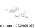 Blank white lingerie complect with bra and thong mockup, isolated 132966165